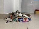 疯狂的主人圆形猫抓板窝耐磨不掉屑猫窝一体猫咪抓盆特大号抓不烂猫爪板耐抓 实拍图