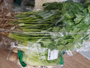 带根香菜100g 实拍图