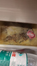 国联蒜香青花椒麻辣烤鱼1kg*3盒罗非鱼熬制半成品夜宵烧烤预制菜 实拍图