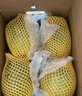 京鲜生 新疆哈密瓜/西州蜜 4粒 净重10斤起 单果2.5斤起 生鲜水果礼盒 实拍图