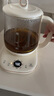 小熊（Bear）养生壶 1.5L煮茶壶煮茶器 玻璃花茶壶 316不锈钢恒温水壶烧水壶电热水壶 YSH-E15M1 实拍图