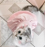 阿莫尔猫咪裙子夏季薄款猫咪衣服可爱粉色南瓜裙布偶蓝猫宠物狗狗公主裙 粉色 S 建议3-5斤  背长20cm 实拍图