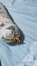 老粗布颈椎单人睡觉专用护颈小枕头圆柱艾草颈枕硬枕助睡眠 百合花糖果颈椎枕 实拍图