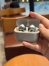 漫步者（EDIFIER）萝莉豆 Lolli Pro5 真无线主动降噪蓝牙耳机入耳式AI翻译运动跑步音乐游戏电竞适配苹果华为安卓 晨曦金+柯基耳机套+晒单20元红包 实拍图