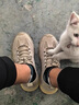 樵柯劳保鞋男秋冬季网面透气百搭男鞋上班功能防水防滑耐磨工装鞋子男 RF-2326卡其 41 实拍图