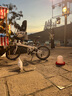 大行（DAHON） 顺丰发货折叠自行车20寸8级变速单车P8经典款KBC083 白色【速联X7+苹果胎】 实拍图