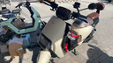 小牛电动【北京专享到店自提】G400T电动车  智能锂电长续航 新国标电动自行车基础款 到店选色 实拍图