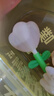 周十五益生菌蜂蜜露孕妇开塞蜜露待产包用产后哺乳期儿童蜂蜜栓*2盒 实拍图