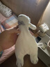 澳贝（auby）婴幼儿玩具小兔安抚巾宝宝哄睡神器阿贝贝新生儿毛绒手偶满月礼物 实拍图