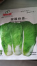 IDEAL理想农业 速生奶油快菜种子小白菜青菜种籽阳台种植四季蔬菜种子 实拍图