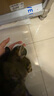 皇家搭档三文鱼猫罐头猫零食成猫幼猫罐头宠物零食85g*24罐 实拍图