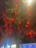 绿联5口千兆交换机【铝壳散热】网线分线器一分二/四 4口监控网络交换器 企业家用宿舍扩展分流器15641 实拍图