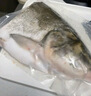 鲜喜爱 冷冻千岛湖有机鳙鱼头1.5斤 花鲢鱼头 胖头鱼 生鲜鱼类 海鲜水产 实拍图