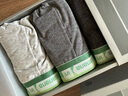 蕉内（Bananain）银皮301S男士内裤纯棉7A抗菌短裤青少年撞色腰带运动透气平角3件 渐变绿腰 3条 L 实拍图
