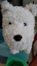 babycare&bctoys儿童毛绒玩具狗电子哈基米宠物玩偶节日生日礼物西高地犬 实拍图
