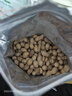 粮隆 蒜香花生500g 带壳坚果炒货休闲食品下酒菜 办公室零食小吃  实拍图