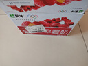 蒙牛 蒙牛早餐奶红枣味牛奶 250ml*16盒 实拍图