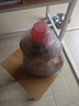 立白 大师香氛洗衣液 乌木玫瑰5.76斤 持久留香 炫彩护衣 摩登潮流香 实拍图