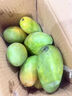 【花皮介意慎拍】正宗新鲜芒果软糯香甜现摘时令水果半熟发货 带箱1斤【单果50-70g】 实拍图