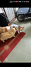 斯派科狗狗牵引绳套装遛狗栓狗绳子胸背项圈整套柯基大型犬金毛防爆冲绳 黑色三件套|绳长2米+项圈+胸背 L-【20-40斤】 实拍图