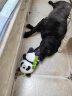 皇家狗粮 成犬狗粮 犬粮 通用犬型 CC 通用粮≥12月3KG*4 实拍图