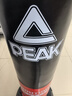 匹克（PEAK）沙袋拳击家用散打立式不倒翁儿童沙包武术搏击拳靶跆拳道训练器材 黑红升级带踢腿区-加亲子拳套 实拍图