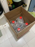 红星二锅头 大桶 清香型白酒 52度 5L*4 桶 整箱装 纯粮口粮酒 泡酒 实拍图
