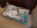 力狼猫粮 成猫幼猫通用型天然粮 【经典猫粮-囤货】全价猫粮20kg 实拍图