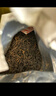 艺福堂红茶 安徽原产祁门工夫红茶特级精品250g  罐装 蜜香祁红 茶叶 实拍图