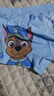 汪汪队立大功（PAW PATROL）儿童内裤男宝宝短裤小孩棉质四角平角裤4条装PA089 100 实拍图