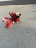麦富迪狗粮藻趣儿15kg 成犬中大型小型犬通用牛肉螺旋藻 金毛泰迪柯基 实拍图