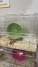 布卡星仓鼠星光跑轮金丝熊安静无噪音滚轮运动玩具用品牛油果绿26cm 实拍图