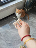 HELLOJOY猫咪指甲剪专用小盲剪狗狗指甲钳小猫指甲钳圆孔新手防抓防咬 实拍图