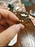 三只松鼠开心果250g/袋 无漂白每日坚果炒货休闲零食地方特产 实拍图