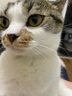 愛肯拿（ACANA）猫粮 海洋盛宴成猫幼猫粮 全价无谷原装进口鱼肉粮1.8kg效期26/4 实拍图