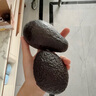 京鲜生秘鲁牛油果巨无霸微催熟6粒装 单果180g起 新鲜水果 源头直发包邮 实拍图