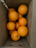 京鲜生重庆奉节脐橙 12个 礼盒装 果重210克+新鲜水果年货送礼 源头直发 实拍图