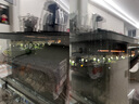 科沃斯（ECOVACS）【国家补贴】擦窗机器人全新升级版W2SPRO多功能基站全自动家用擦玻璃神器喷水湿擦高层户外擦窗 实拍图