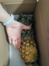 佳农 黑钻菠萝1粒装 菲律宾凤梨 净重2斤起 新鲜水果 端午节送礼 包邮 实拍图