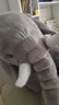 吉娅乔（Ghiaccio）大象安抚抱枕头毛绒玩具公仔婴儿玩偶宝宝睡觉陪睡布娃娃生日礼物 灰 80CM 实拍图