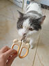 HELLOJOY猫咪指甲剪专用小盲剪狗狗指甲钳小猫指甲钳圆孔新手防抓防咬 实拍图