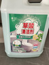 Lvbai高浓度草酸清洁剂瓷砖清洁厕所卫浴地板工厂去污水泥除垢5.2斤 实拍图