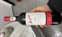 奔富（Penfolds）礼赞系列178周年加州赤霞珠红葡萄酒750ml  单支装 行货原瓶进口 实拍图
