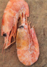 禧美海产 熟冻北极甜虾净重3斤装/盒 150/180规格 冰虾 MSC认证 海鲜水产 实拍图