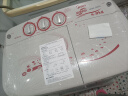 美的（Midea）洗衣机半自动双桶 MP80-DS805  8kg大容量 半自动洗衣机 洗8kg+甩5.5kg 双桶双缸洗衣机 以旧换新 实拍图