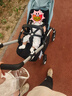 博格步（BUGABOO）荷兰Bugaboo Bee6博格步多功能轻便城市型双向可折叠婴儿推车 银架水雾蓝 黑座 实拍图