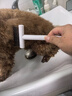 HELLOJOY宠物开结梳猫梳子狗猫毛梳狗毛清理器猫咪狗狗梳子长毛去浮毛神器 实拍图