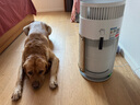 霍尼韦尔（Honeywell）宠物空气净化器吸猫毛除过敏源猫猫搭子 猫毛净化器杀菌消毒除异味【家电国家补贴】KJ360F-C22W 实拍图