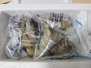 粽子蜜枣豆沙八宝混合粽子1kg/袋端午粽子早餐佐餐需加热即食 混合粽子1kg（13个左右）x1袋 实拍图