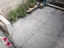 家可美（jiakemei）水泥地面清洁剂院子黑垢青苔油污地板强力去污庭院瓷砖石材清洗剂 2500ml 1瓶 水泥地清洗剂 晒单实拍图